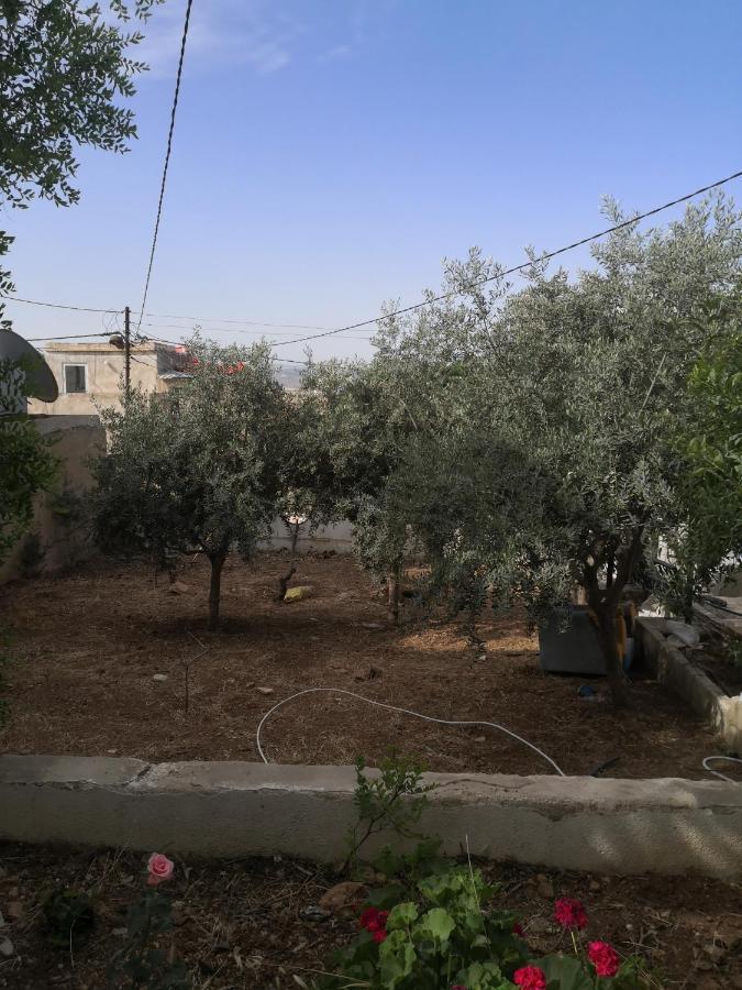 White Tulips Apartment الزنبقة البيضاء Jarash Buitenkant foto