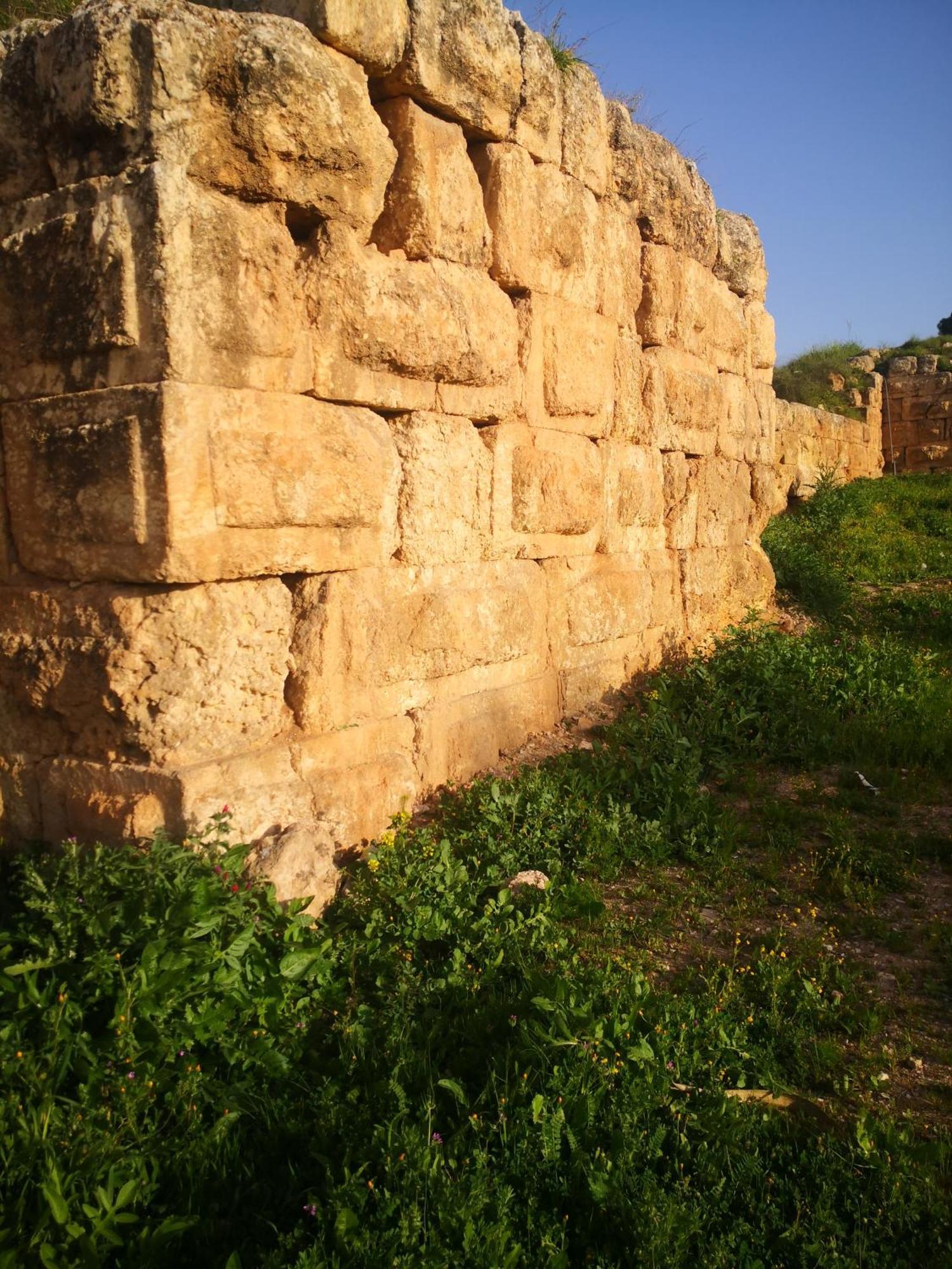 White Tulips Apartment الزنبقة البيضاء Jarash Buitenkant foto