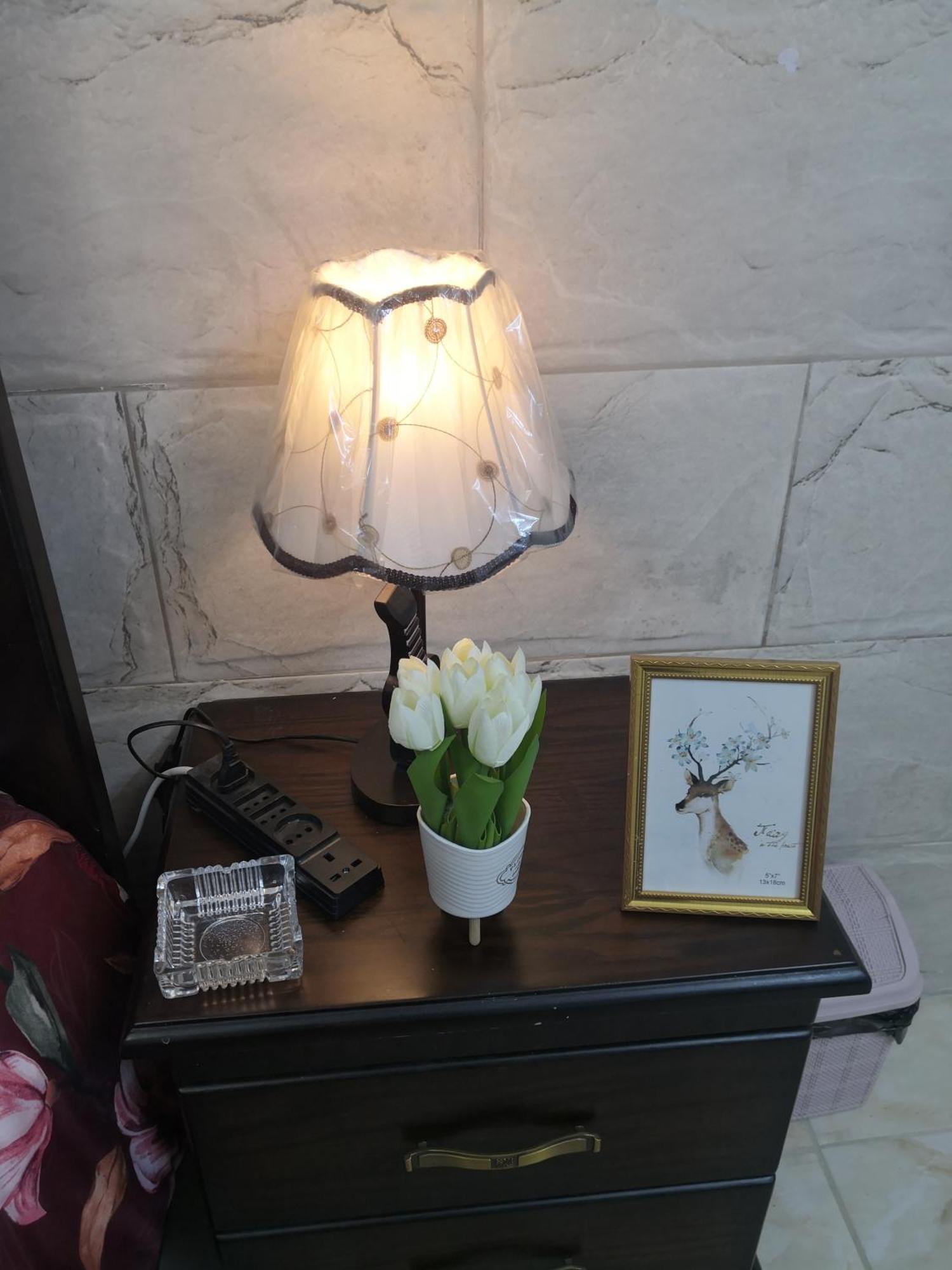 White Tulips Apartment الزنبقة البيضاء Jarash Buitenkant foto