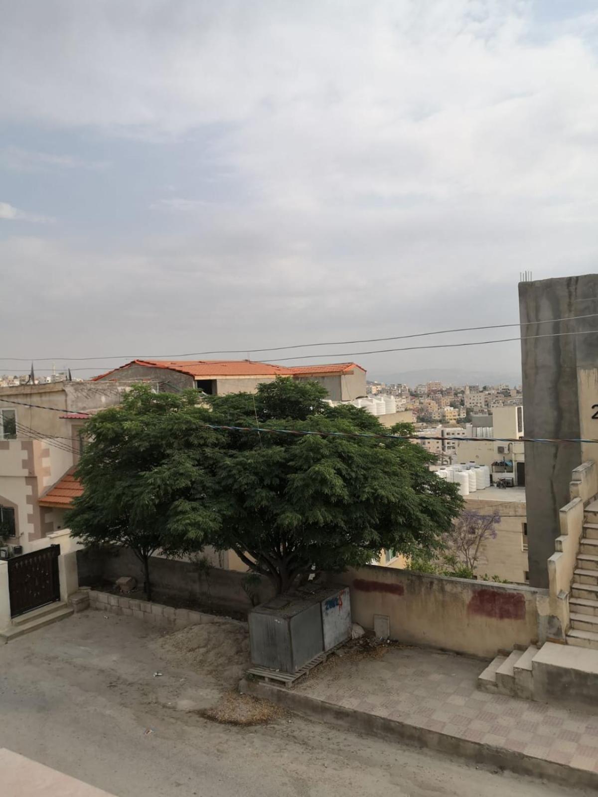 White Tulips Apartment الزنبقة البيضاء Jarash Buitenkant foto