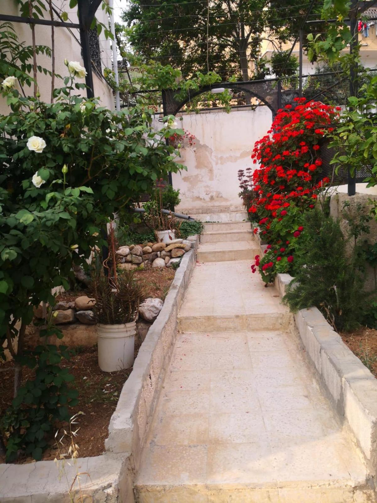 White Tulips Apartment الزنبقة البيضاء Jarash Buitenkant foto
