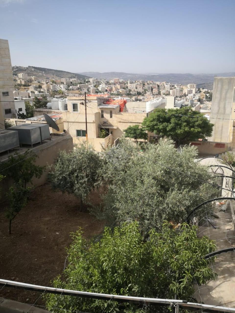 White Tulips Apartment الزنبقة البيضاء Jarash Buitenkant foto